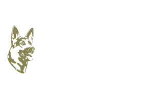 Rescue-22-Foundation