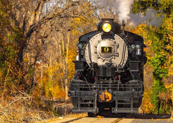 Fall Foliage Rambler