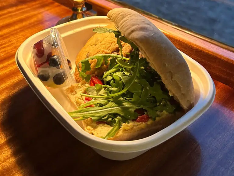 Vegetable sandwich with arugula, hummus, cookie, and fruit served in a tray aboard a train.