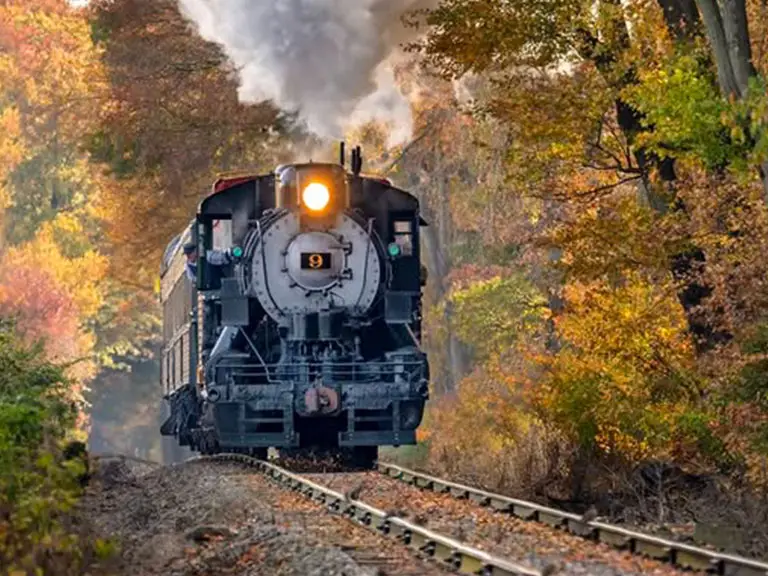 U-Pick & Maze Train