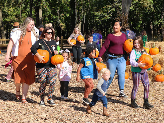 Pumpkin Patch Flyer