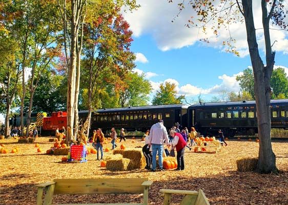 Autumn Leaf Pumpkin Train Featured Image