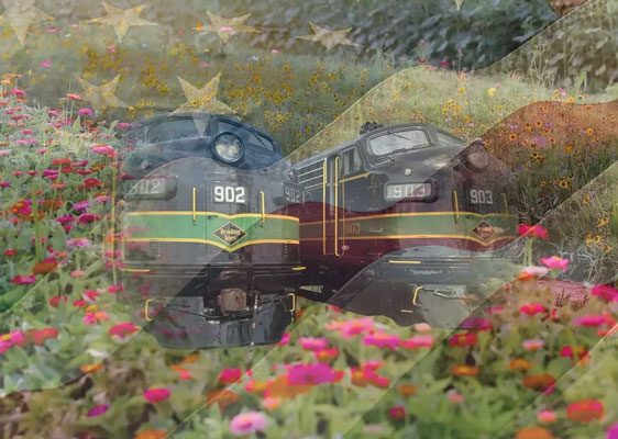 Two vintage Woodstown Central Railroad locomotives appear behind a foreground of bright pink, red, and yellow flowers.