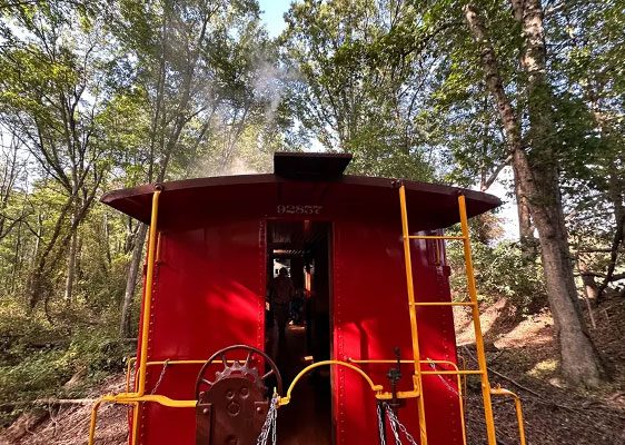 Scenic rambler image rolling down the track with green grass and trees
